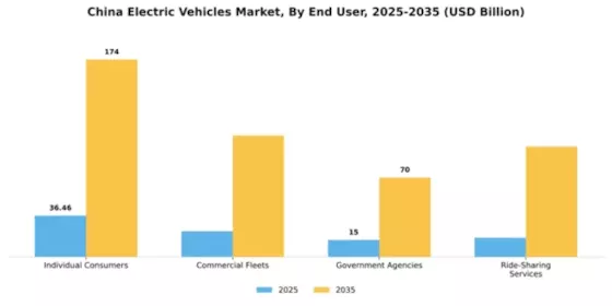 China Electric Vehicle Market Segment Image 1