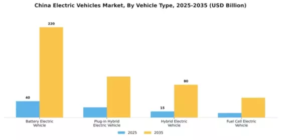 China Electric Vehicle Market Segment Image 3