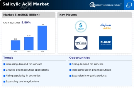 Salicylic Acid Market Infographic