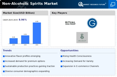 Non-Alcoholic Spirits Market Infographic