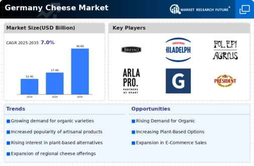 Germany Cheese Market Infographic