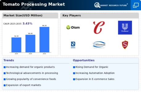 Tomato Processing Market Infographic