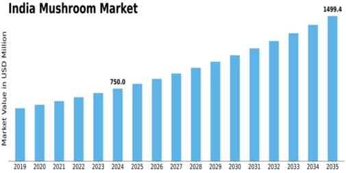 India mushroom Market Size