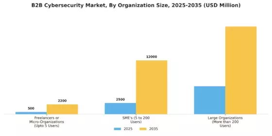 B2B Cybersecurity Market Segment Image 3