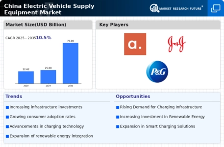 China Electric Vehicle Supply Equipment Market Infographic