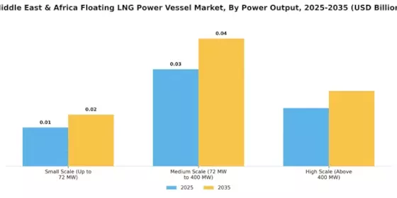 MEA Floating LNG Power Vessel Market Segment Image 2