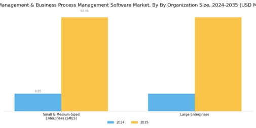 Task and Business Process Management Software Market Segment Image 1
