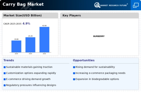 Carry Bag Market Infographic