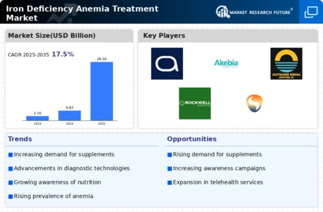 Iron Deficiency Anemia Treatment Market Infographic