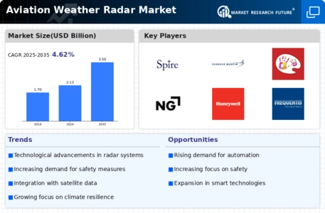 Aviation Weather RADAR Market Infographic