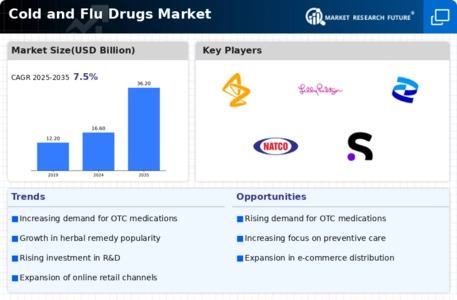 Cold and Flu Drugs Market Infographic
