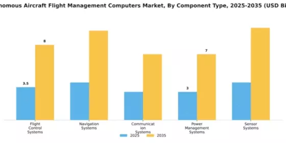 Autonomous Aircraft Flight Management Computers Market Segment Image 1