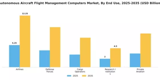 Autonomous Aircraft Flight Management Computers Market Segment Image 2