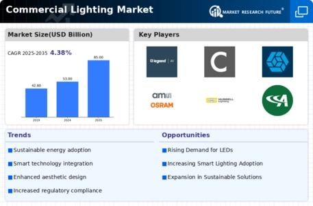 commercial lighting market Infographic