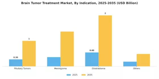 Brain Tumor Treatment  Market Segment Image 1