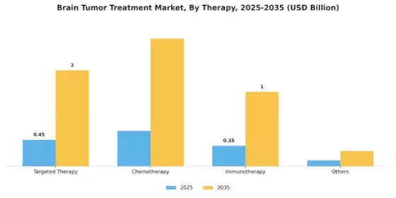 Brain Tumor Treatment  Market Segment Image 2