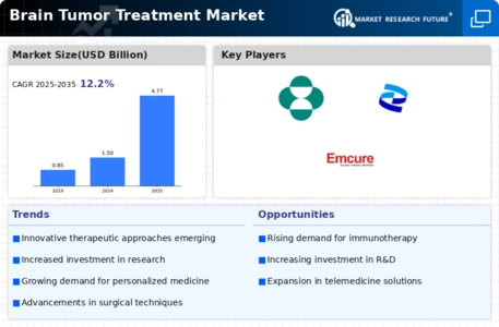 Brain Tumor Treatment  Market Infographic