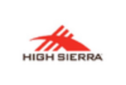 Luggage Market key player