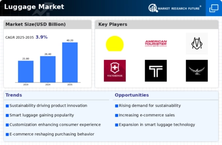 Luggage Market Infographic