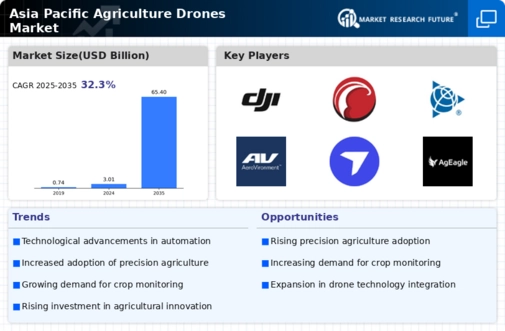 Asia Pacific Agriculture Drones Market Infographic