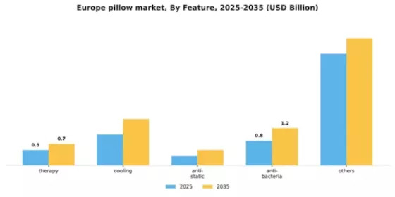Europe Pillow Market Segment Image 1