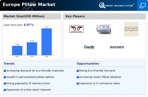Europe Pillow Market Infographic