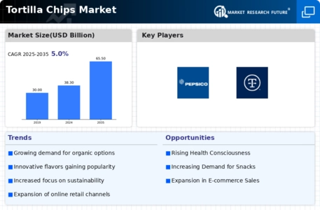 Tortilla Chips Market Infographic