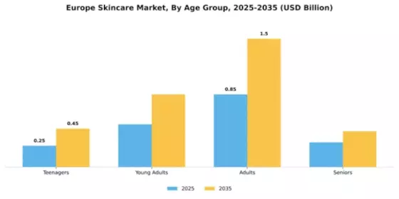 Europe Skin Care Market Segment Image 0