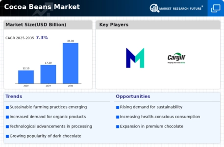 Cocoa Beans Market Infographic