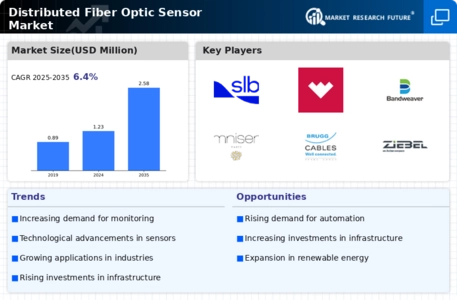 Distributed Fiber Optic Sensor Market Infographic