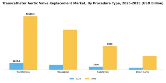 Transcatheter Aortic Valve Replacement Market Segment Image 2