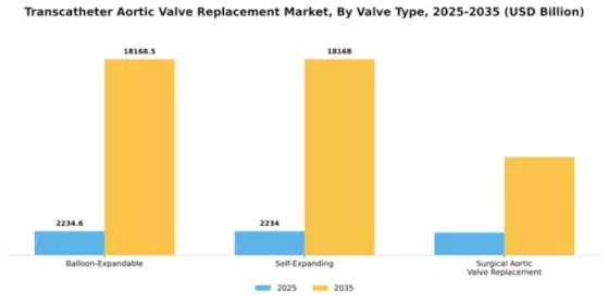 Transcatheter Aortic Valve Replacement Market Segment Image 3
