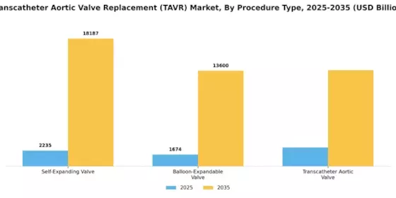 Transcatheter Aortic Valve Replacement Market Segment Image 0