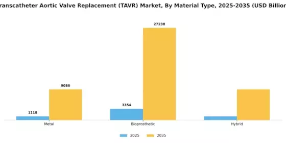 Transcatheter Aortic Valve Replacement Market Segment Image 2