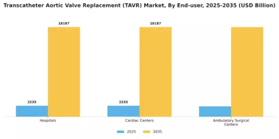 Transcatheter Aortic Valve Replacement Market Segment Image 3
