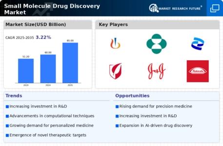 Small Molecule Drug Discovery Market Infographic