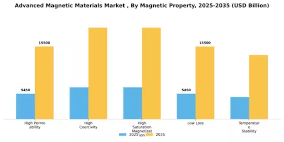 Advanced Magnetic Materials Market  Segment Image 3