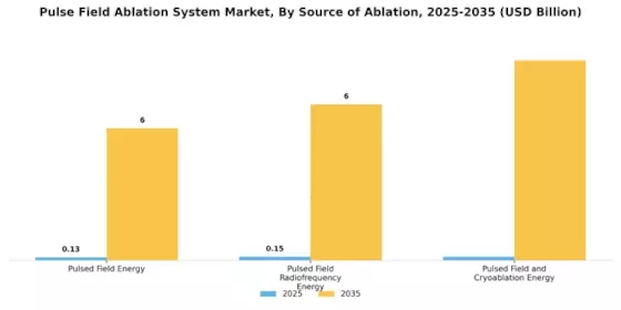 Pulse Field Ablation System Market Segment Image 3