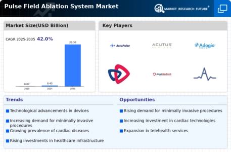 Pulse Field Ablation System Market Infographic