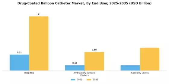 Drug Coated Balloon Catheter Market Segment Image 3