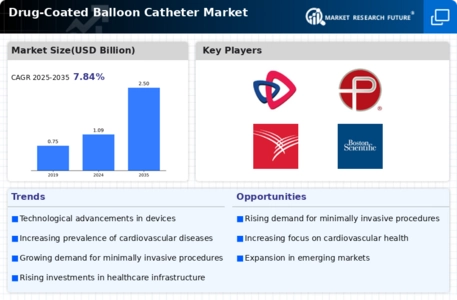 Drug Coated Balloon Catheter Market Infographic