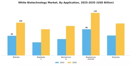 White Biotechnology Market Segment Image 0