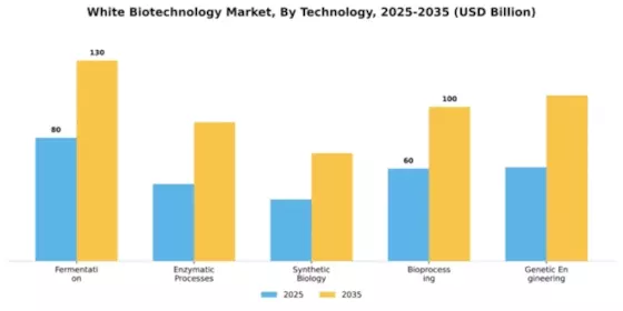 White Biotechnology Market Segment Image 3