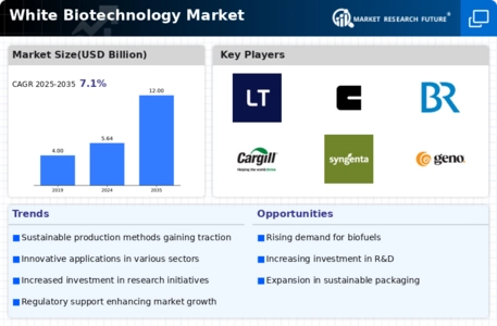 White Biotechnology Market Infographic