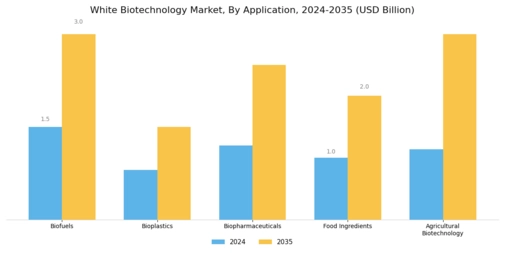 White Biotechnology Market Segment Image 0