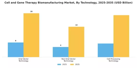 Cell Gene Therapy Biomanufacturing Market Segment Image 2