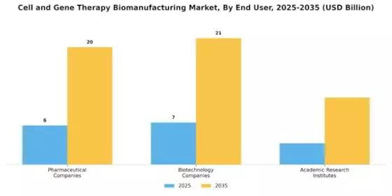 Cell Gene Therapy Biomanufacturing Market Segment Image 3