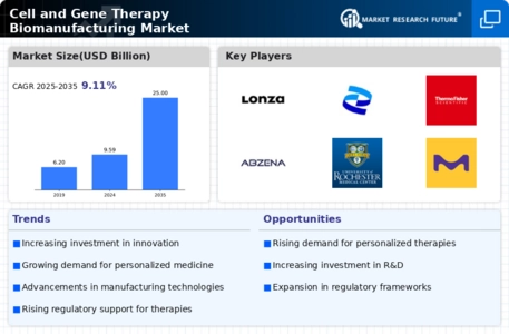 Cell Gene Therapy Biomanufacturing Market Infographic