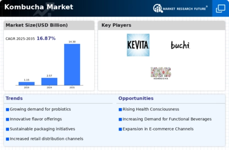 Kombucha Market Infographic