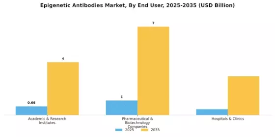 Epigenetic Antibodies Market Segment Image 4